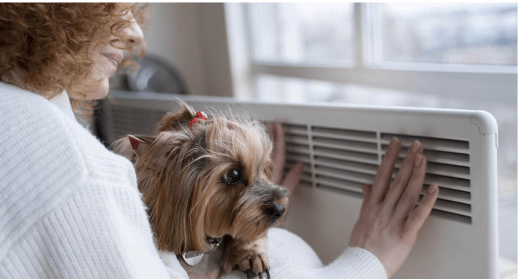 a women is installing the air conditioner while hugging the dog
