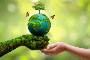 ENVIRONMENTAL FRIDENDLY